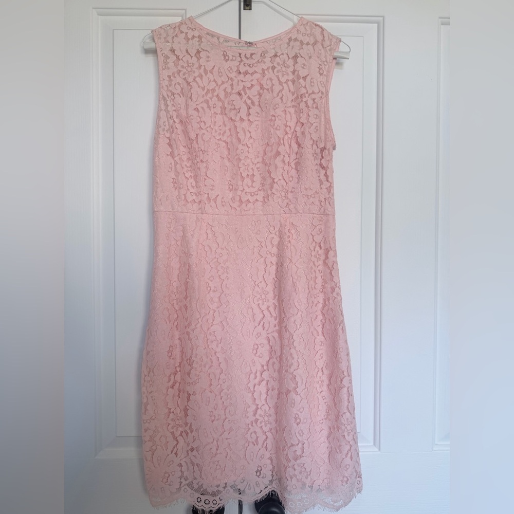 Eva Mendes New York & Company Blush Pink Strapless Lace Dress